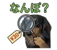 856265443