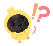 856265531