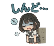 856265557