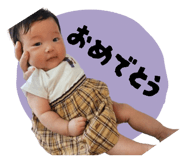 856266313