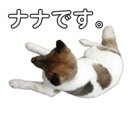 856266357