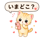 856266371