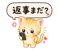 856266400