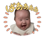 856266488