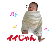 856266491