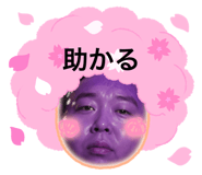 856266508