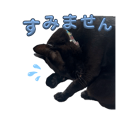 856268168