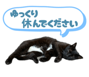 856268175