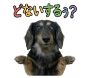 856268643