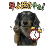 856268653