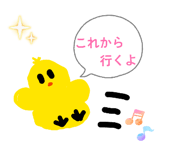 856268907