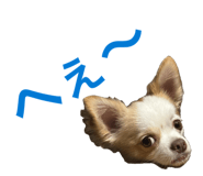 856268915