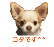856268919