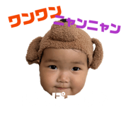856269004