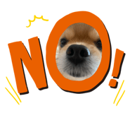 856269982