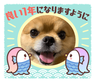 856269991