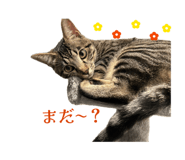 856270391