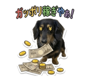 856270999