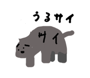 856271081