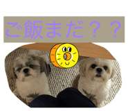 856271093