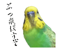 856272034