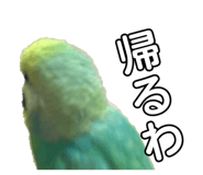 856272035