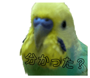 856272037