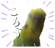 856272040