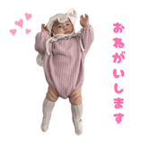 856272213