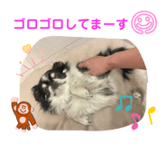 856272679