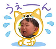 856273543