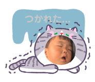 856273544