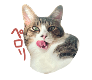 856273685