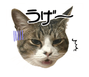 856273691