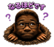 856273788