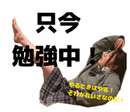 856274487
