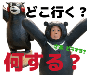 856274488