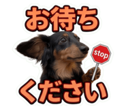 856274609