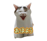 856274829