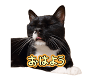856274830
