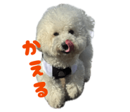 856275673