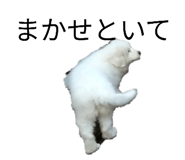 856275924