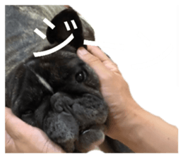 856275926