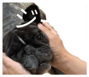 856275926