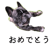 856275931