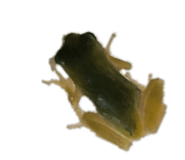 856275951