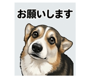 856276492