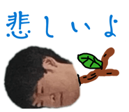 856276587