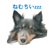 856276657
