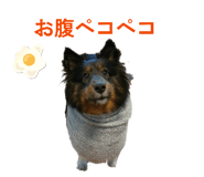 856276659